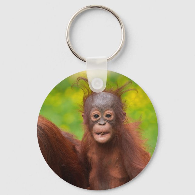 Quirky Charm of an Orangutan Baby Key Ring (Front)
