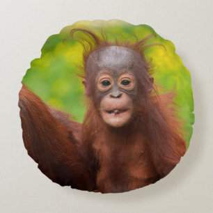 Quirky Charm of an Orangutan Baby Round Cushion