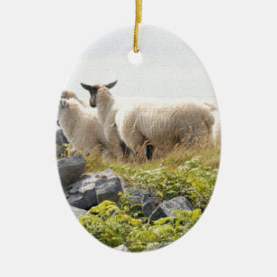 Quirky Designs - Sheep in a field Ceramic Ornament