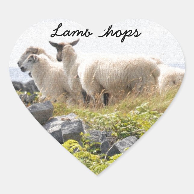 Quirky Designs - Sheep in a field Heart Sticker (Front)