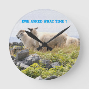 Quirky Designs - Sheep in a field Round Clock
