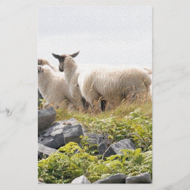 Quirky Designs - Sheep in a field Stationery (Front)