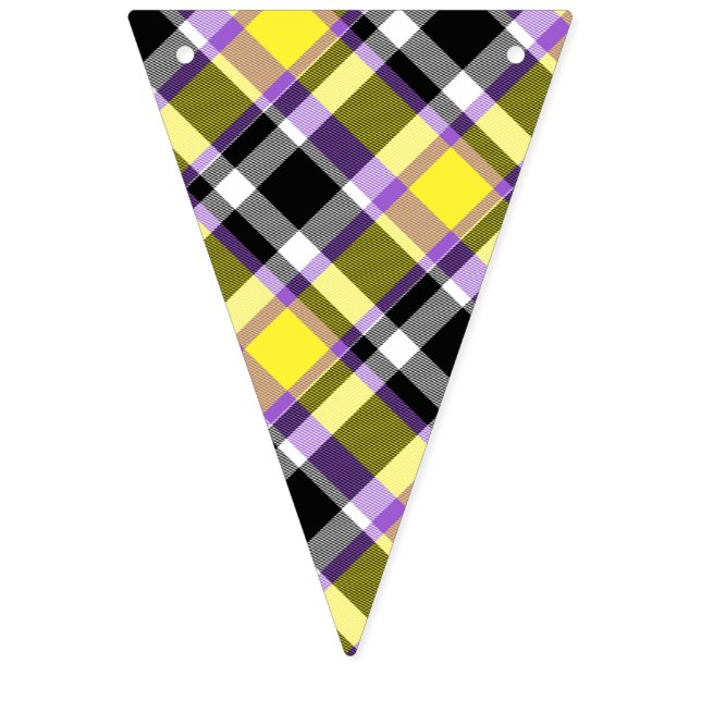 Quirky Eclectic Boho Nonbinary Plaid Pride Flag (First Flag)