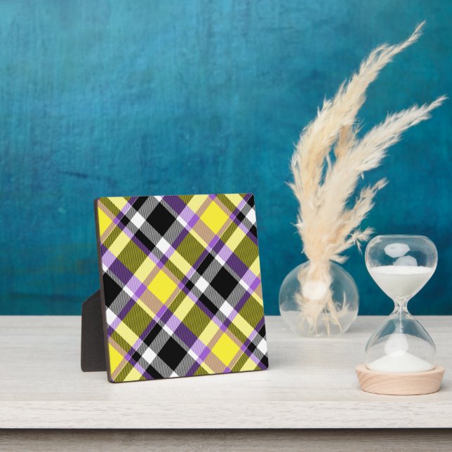 Quirky Eclectic Boho Nonbinary Plaid Pride Flag Plaque (Insitu)