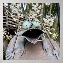 Quirky Frog - Jewel Orchids