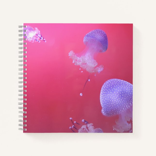 Quirky Jellyfish in the Pink Water Notebook (Front)