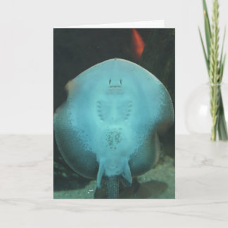 Quirky Manta Ray Greeting Card