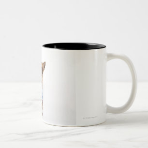 Quirky portrait of a Teacup Chihuahua 2 Two-Tone Coffee Mug