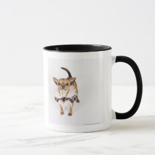 Quirky portrait of a Teacup Chihuahua Mug