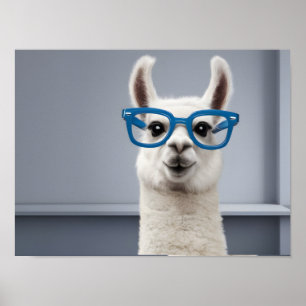 Quirky White Llama Wearing Blue Glasses Poster