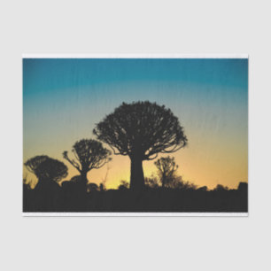 Quiver Tree Forest Sunset Tissue Paper