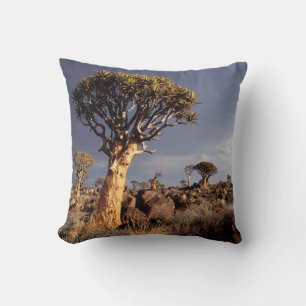 Quiver Trees (Aloe Dichotoma) Cushion