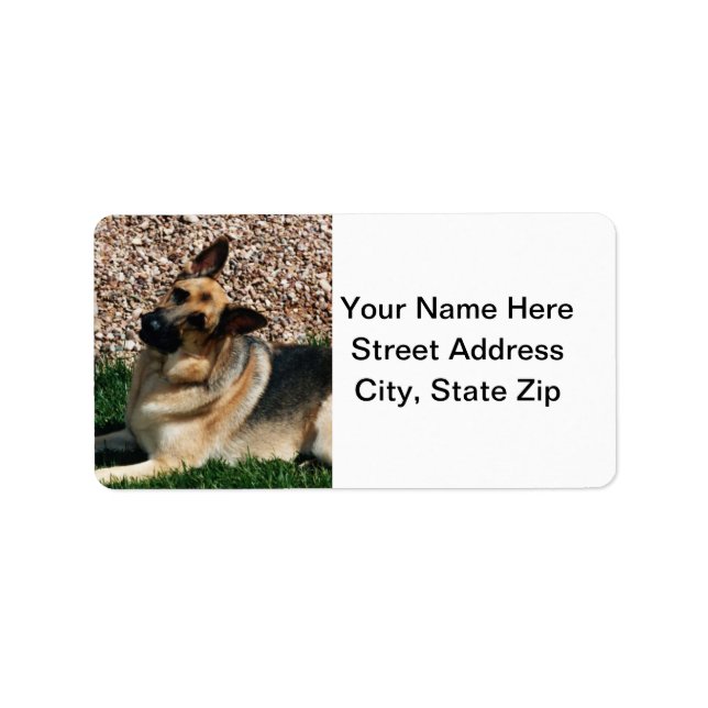 Quizzical German Shepherd Label (Front)