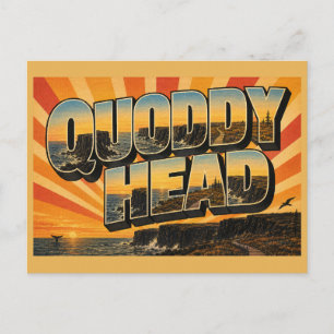 Quoddy Head Maine Volcanic Cliffs Ocean Bog Art Postcard