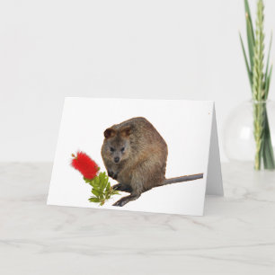 Quokka and Bottlebrush Card