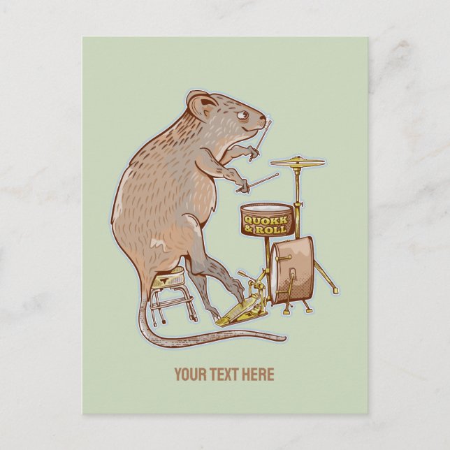 Quokka Australian Animal Drummer Postcard (Front)