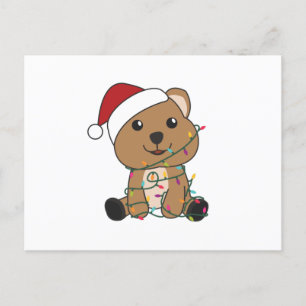 Quokka Christmas Snow Winter Animals Quokkas Postcard