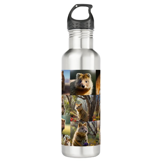 "Quokka Chronicles: A Heartwarming Photo Collage" 710 Ml Water Bottle (Front)