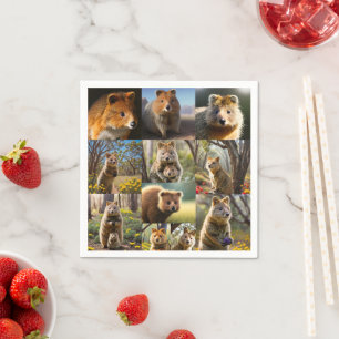 "Quokka Chronicles: A Heartwarming Photo Collage" Napkin