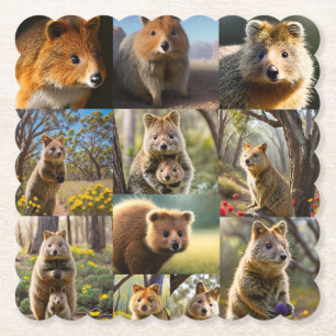"Quokka Chronicles: A Heartwarming Photo Collage" Paper Coaster