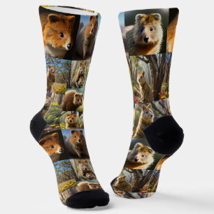 "Quokka Chronicles: A Heartwarming Photo Collage" Socks