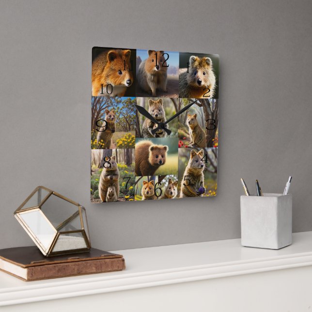 "Quokka Chronicles: A Heartwarming Photo Collage" Square Wall Clock (Office)