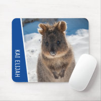 Quokka Cute Animal on the Beach Australia Blue