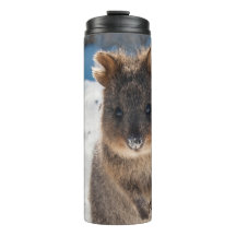 Quokka - Cute Animal on the Beach Australia Blue