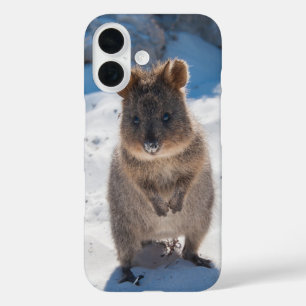 Quokka Happy Animal on the Beach Australia iPhone 16 Case