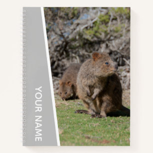 Quokka Happy Cute Animals, Australia, Silver Notebook