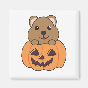 Quokka In Pumpkin Cute Quokkas Happy Halloween Mag Magnet