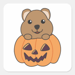 Quokka In Pumpkin Cute Quokkas Happy Halloween Square Sticker