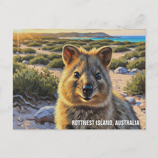 Quokka in Rottnest Island Australia Postcard (Front)