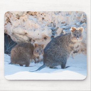 Quokka Mouse Pad