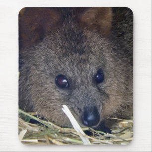Quokka Mouse Pad
