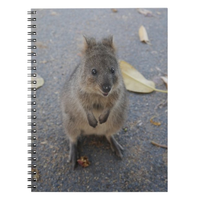 Quokka notebook (Front)