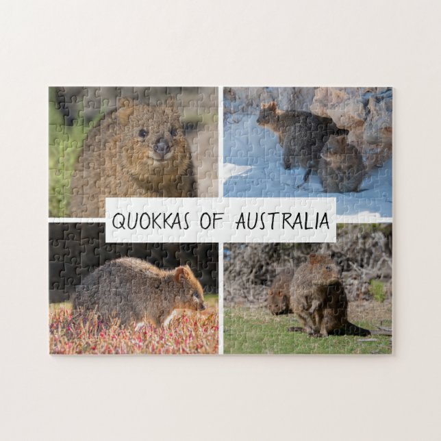 Quokka of Australia, 252 pieces Jigsaw Puzzle (Horizontal)