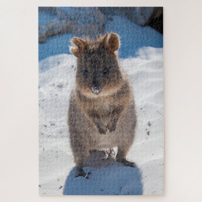 Quokka on the beach, 1014 pieces jigsaw puzzle (Vertical)