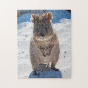 Quokka on the beach, 252 pieces jigsaw puzzle