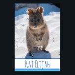 Quokka on the Beach Australia Blue Boys Poster<br><div class="desc">An extremely cute and beautiful poster featuring a quokka on the beach. You can personalise / customise it with your own name. Perfect for kids / boys. Also a great gift idea for any birthday or holiday. Brighten up any boys room! If you’re ever lucky enough to meet a Quokka,...</div>