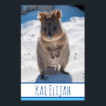 Quokka on the Beach Australia Blue Boys Poster<br><div class="desc">An extremely cute and beautiful poster featuring a quokka on the beach. You can personalise / customise it with your own name. Perfect for kids / boys. Also a great gift idea for any birthday or holiday. Brighten up any boys room! If you’re ever lucky enough to meet a Quokka,...</div>