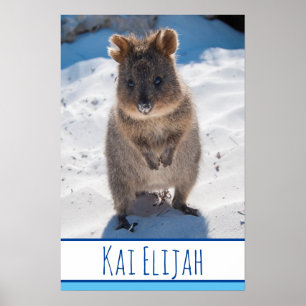 Quokka on the Beach Australia Blue Boys Poster