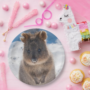 Quokka on the beach Australia, Cute Animal Photo Paper Plate