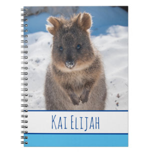 Quokka on the Beach, Blue Boys Notebook