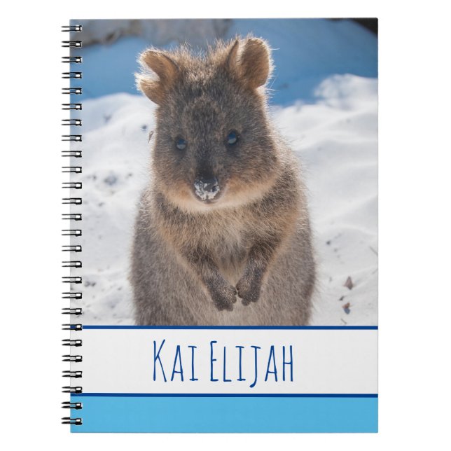 Quokka on the Beach, Blue Boys Notebook (Front)