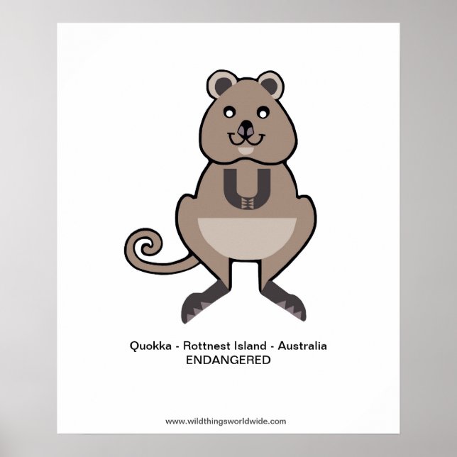 Quokka - poster (Front)