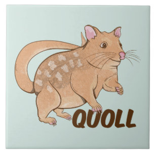 Quoll Australian Marsupial  Ceramic Tile