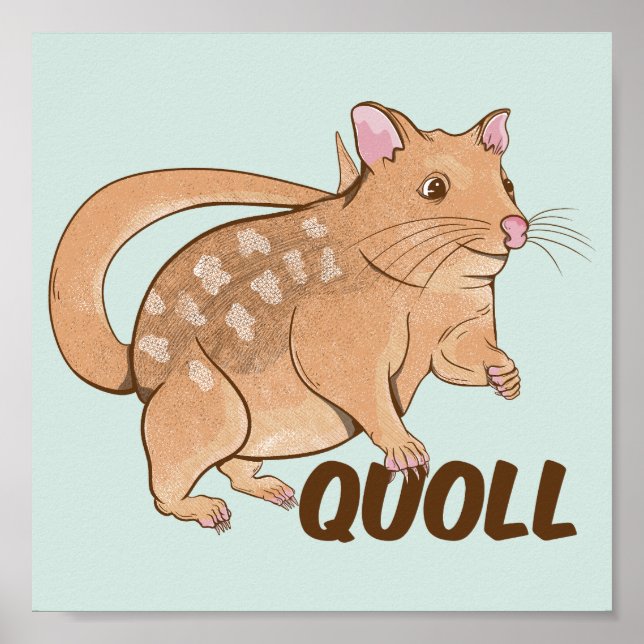 Quoll Australian Marsupial  Poster (Front)
