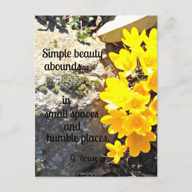 Quote about finding beauty all around. postcard (Front)