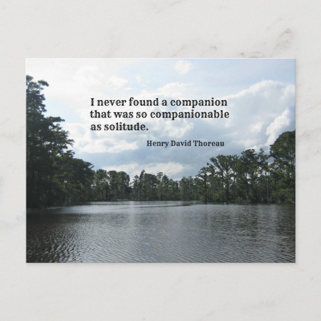 Quote about solitude on River scene. Postcard (Front)